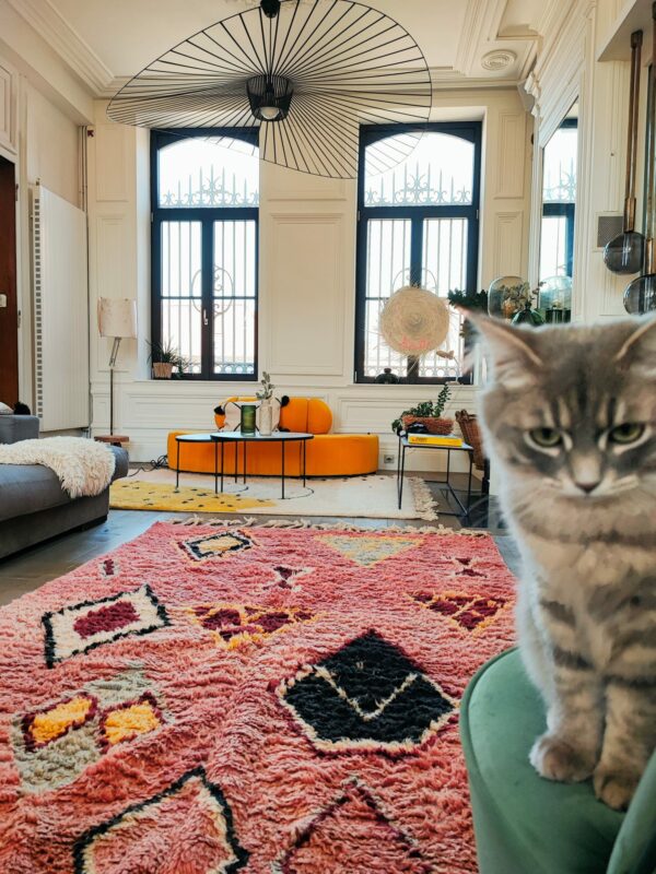 tapis boujaad tableau (copie)